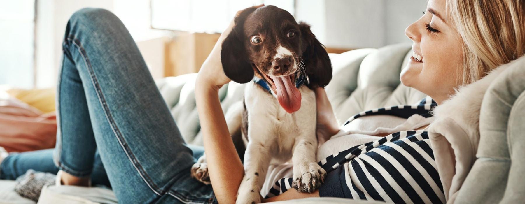 woman lies on a couch and pets her dog